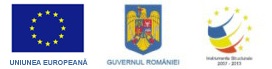 Logo Uniunea Europeana , Guvernul Romaniei